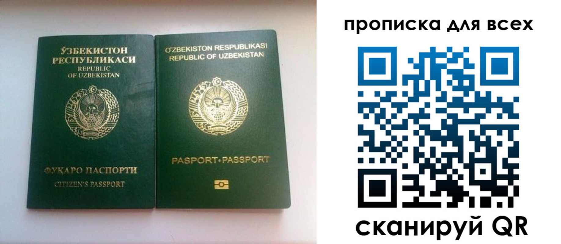 прописка для школы в Касимове